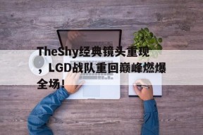 平博官网-TheShy经典镜头重现，LGD战队重回巅峰燃爆全场！